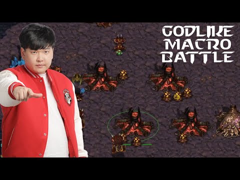 HERO Godlike Macro Battle Zerg vs Protoss  - Starcraft Broodwar
