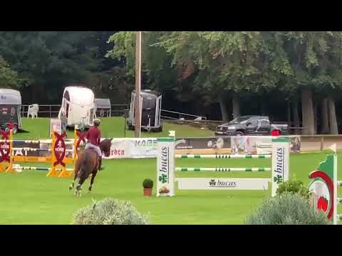 Connador von Connor-Quidam de Revel