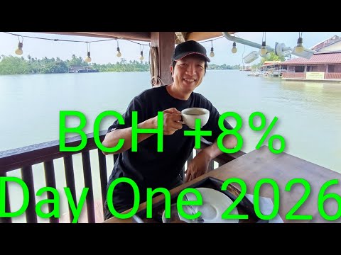 Billionen US-Dollar werden 2026 Bitcoin Cash hinterherjagen! NIO wird sich mit BCH als DAT verzwa...