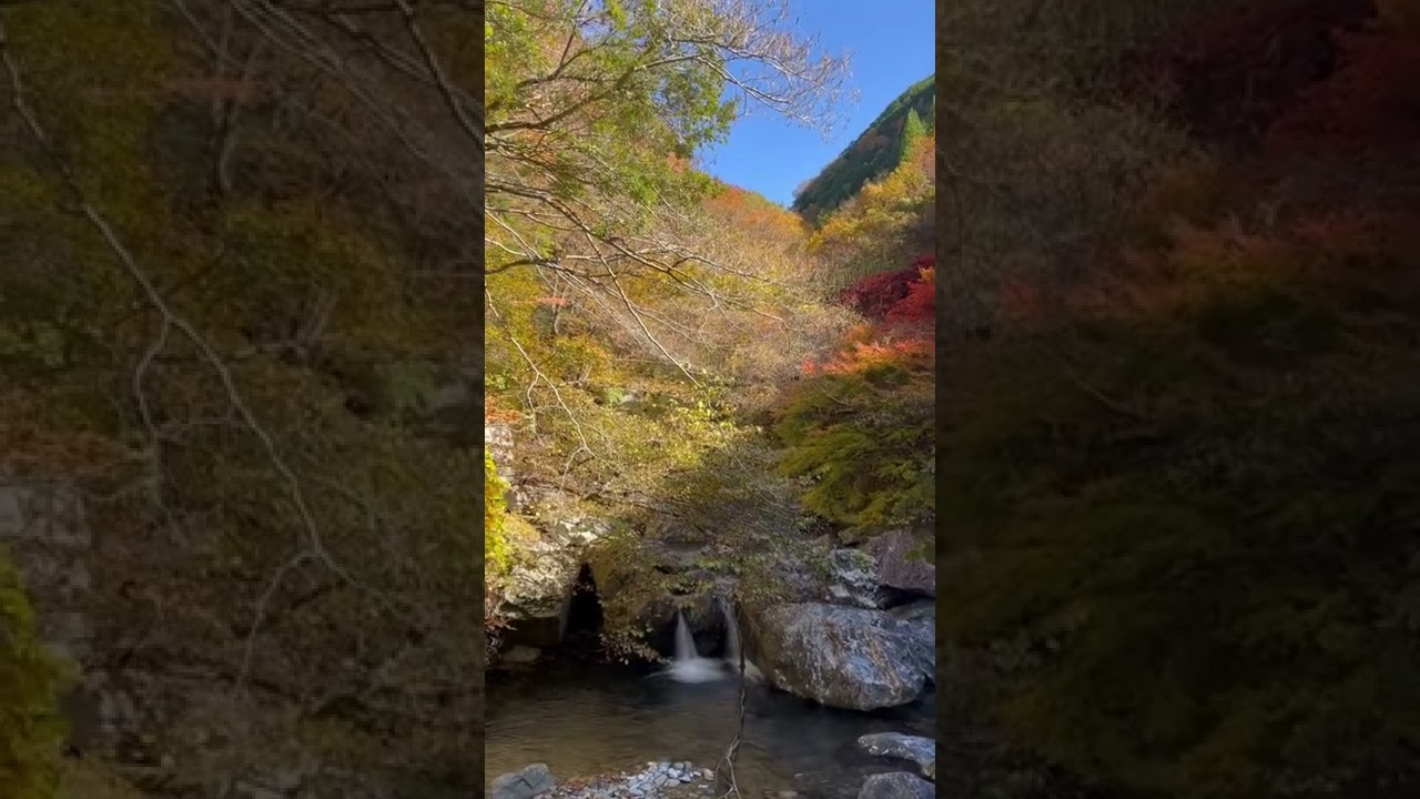 YouTube Short thumbnail