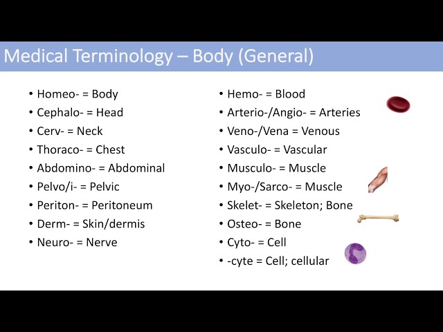 Cholecysto の発音の仕方 Howtopronounce Com