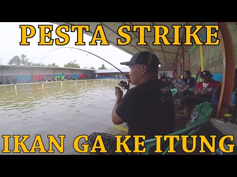amit nem tudtál a péniszről