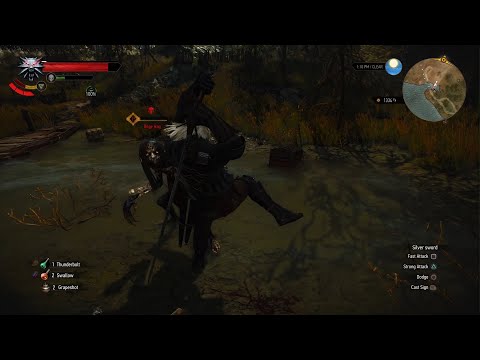 The Witcher 3: Wild Hunt - Complete Edition Death March Part 19