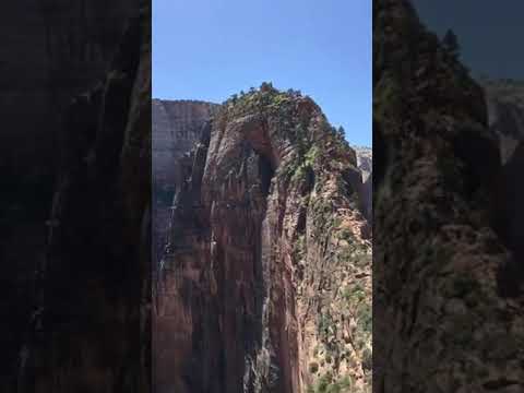 The treacherous trail leading to the top of Angel’s Landing