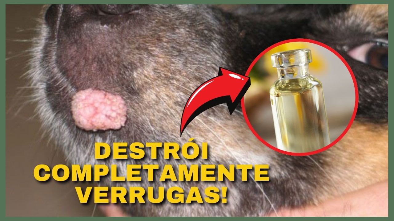 TINTURA SECRETA PARA Acabar com Verrugas. Verruga em Cachorro. Verruga em Gato. Como Tratar!