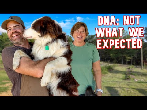 Holly's Surprise DNA Test Results Revealed! | Cog Hill Farm