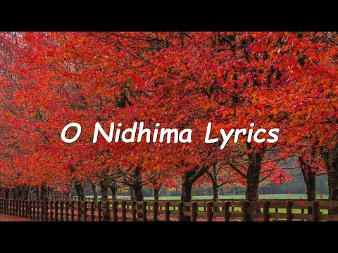 O Nidhima - 4K Song Lyrics | Love Mocktail 2 | Nakul Abhyankar, Rakshita, Darling Krishna, Milana