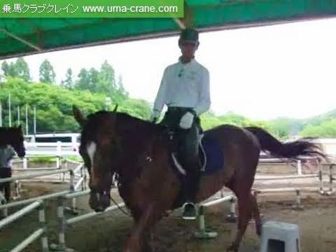 , title : '馬の乗り方 (乗馬クラブクレイン 体験1回コース)'