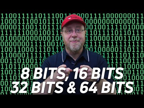 8 bits, 16 bits, 32 bits, 64 bits and nibbles