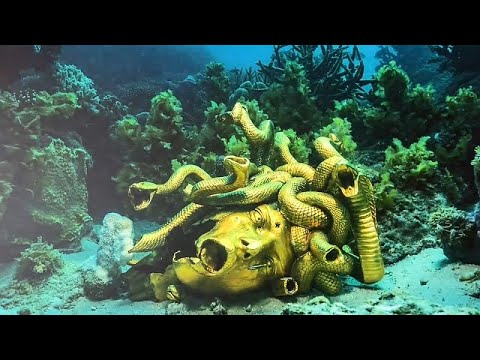 Riesige Damien Hirst-Ausstellung in den Weinbergen der Provence