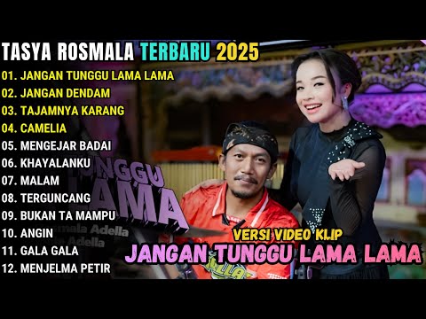 JANGAN TUNGGU LAMA LAMA - TASYA ROSMALA FULL ALBUM TERBARU 2025 || OM ADELLA FULL ALBUM TERBARU 2025