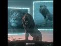 The Fallen Prince Simba The Lion King Edit Mufasa Lionking Movie Edit Foryou