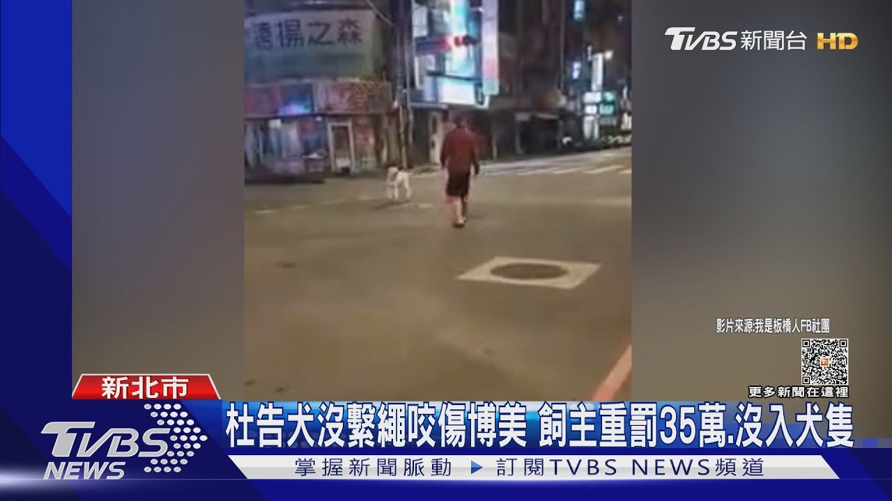 飼主沒幫繫牽繩、嘴套 杜告犬突抓狂「咬傷博美」