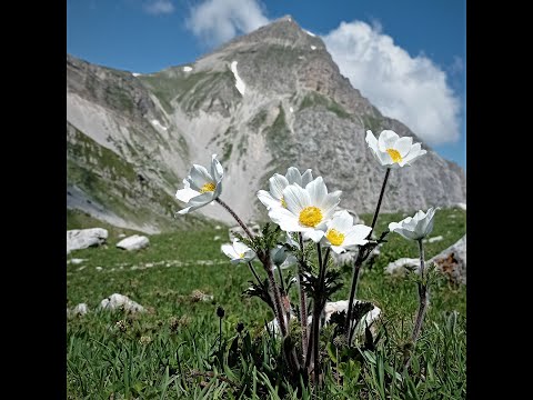 IN CAMMINO NEI PARCHI 12 GIUGNO 2022