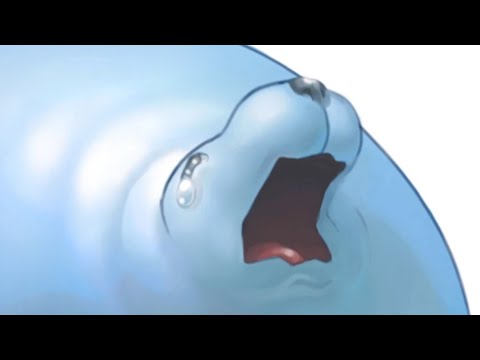 This Seal Lost Everything