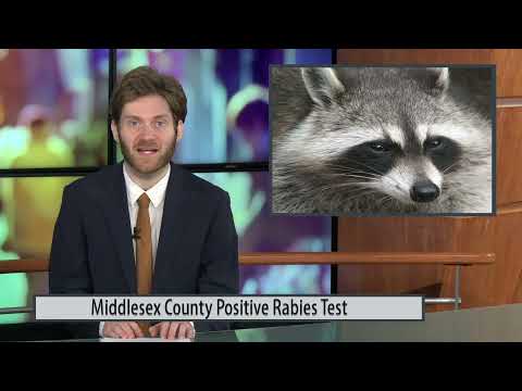 Middlesex County Rabies