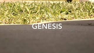 Genesis - Ne-Yo