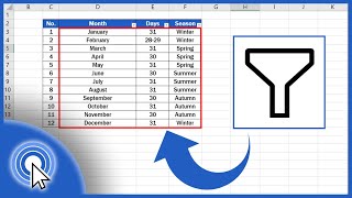 How to Create Filter in Excel