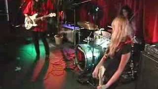 Magneta Lane "Wild Gardens" on JR DIGS