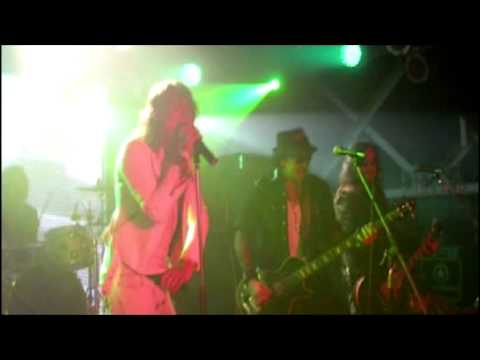 COVERHEADS  - DUDE (LOOKS LIKE A LADY)