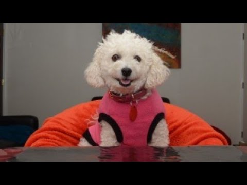 Layla meets Kanav Baby first time, 2018