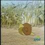 Sesame Street S For Snail