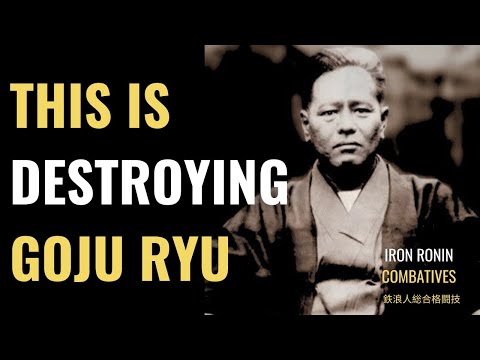 This Is Destroying Goju Ryu