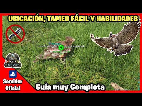 TAM QUICK FJORDHAWK | Complete Guide | FJORDUR