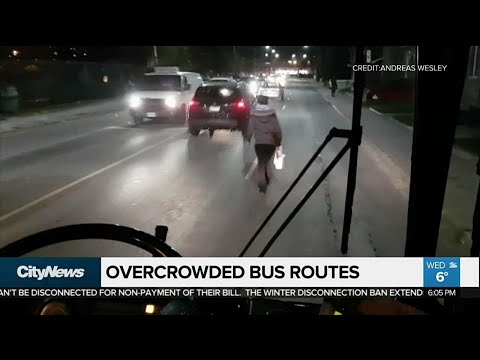 Despite overcrowding, no new TTC bus service in 2018