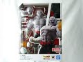 Figurine SH Figuarts Dragon Ball Super Jiren Final Battle - 17 cm