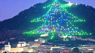 50 kilowatt tree music video