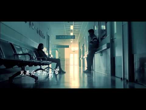 王菲 - 匆匆那年