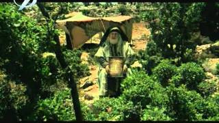 HZ MUHAMMED iN HAYATI 13 14