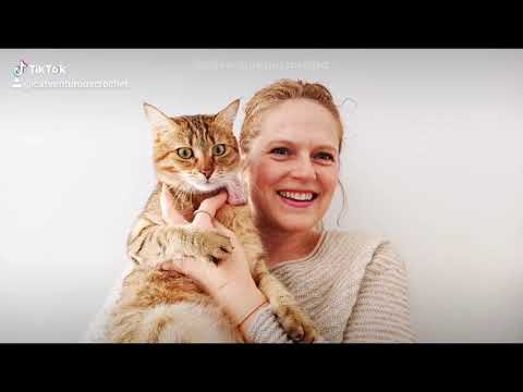 Pawprints on your heart - Olivia Heart Cat Headband/Collar - Catventurous Crochet