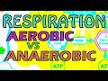 RESPIRATION - AEROBIC VS ANAEROBIC RESPIRATION - OXYGEN DEBT