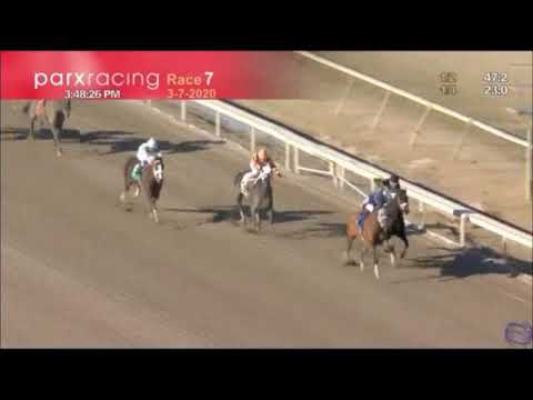 Dixie Serenade wins Allowance PARX Mar 7