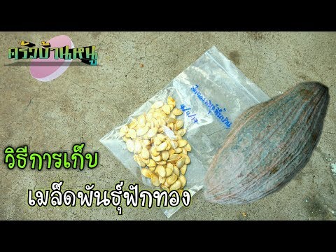 อาการขยายขนาดอวัยวะเพศ สูตรเพื่อเพิ่มความแข็งแรง