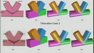 Thomas Hughes - Patient Specific Modeling and the Predictive Paradigm in Medicine