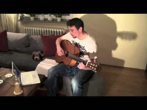 Hansi's Videotagebuch 3.Tag - Gitarre lernen in 30 Tagen