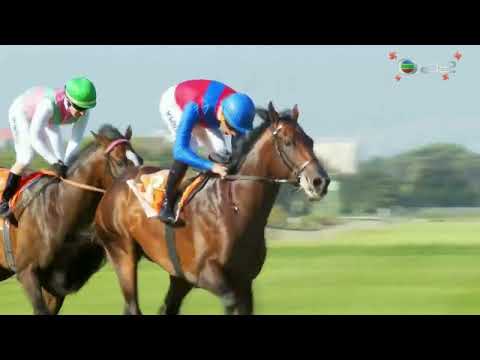 2022 World Sports Betting Cape Town Met G1 - Kommetdieding (科美迪) - G.Lerena