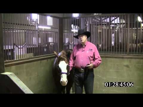 VHH Bloopers: What's my line?