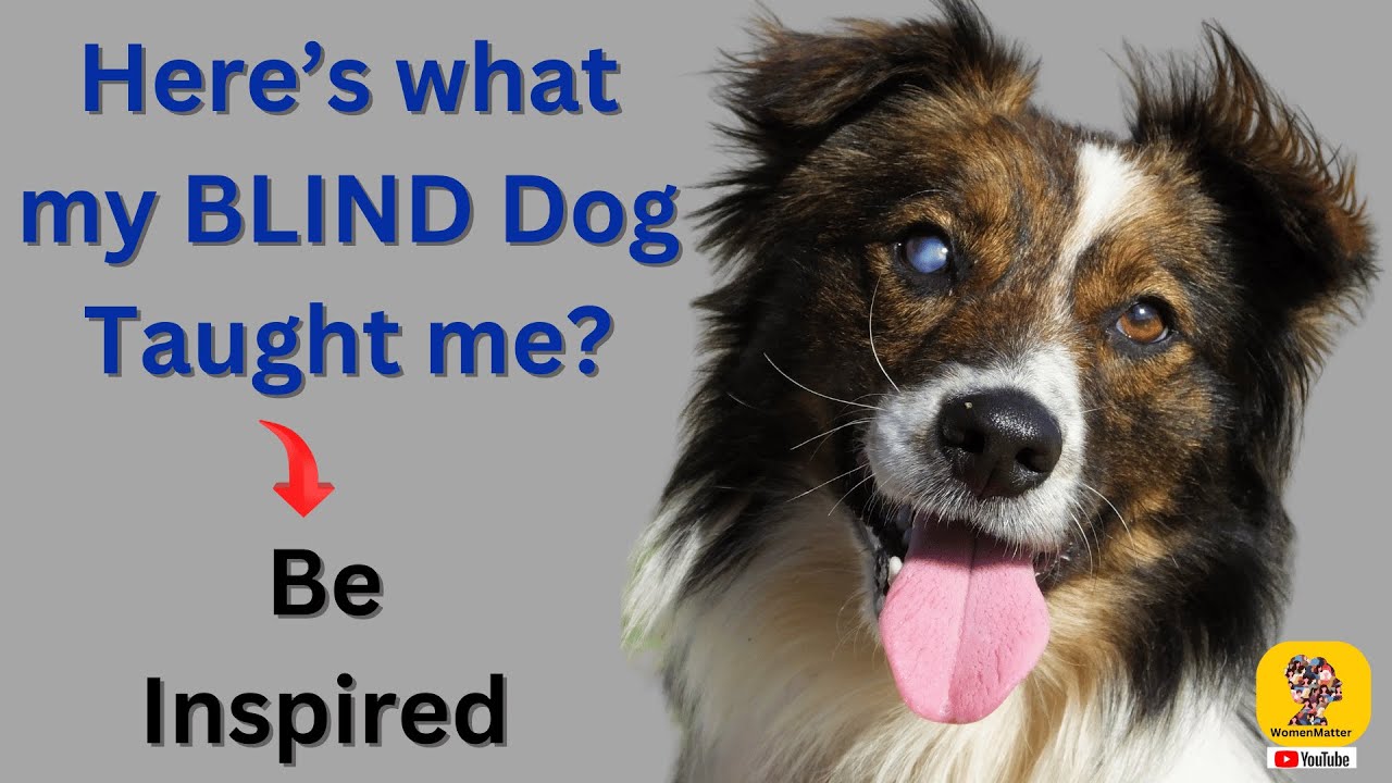 Lessons from the Heart: 10 Life Lessons My Blind Dog Taught Me #inspiration