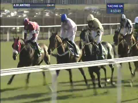 2013 Betfred Manifesto Novices' Chase - Captain Conan
