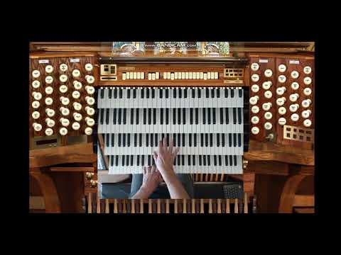 It's A Wonderful, Wonderful Life