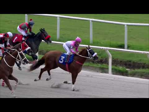 221119 c09 LADY DEVON