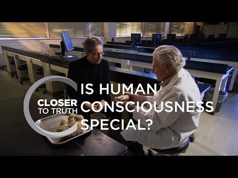 Is Human Consciousness Special? | Episode 709 | Closer To Truth