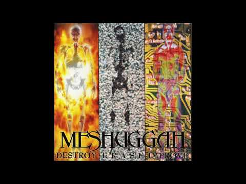 Meshuggah - Destroy Erase Improve (Full Album)