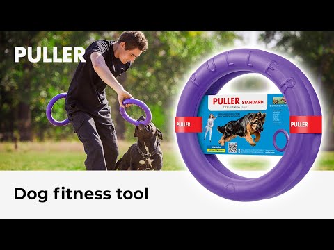 Тренувальні рукавички DOG PULLER Розмір M - купити на WAUDOG
