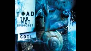 Toad The Wet Sprocket - Acid (Music For Our Mother Ocean Volume Two, 1997)