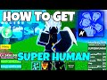 How to get Super Human Fighting Style in Blox Fruits